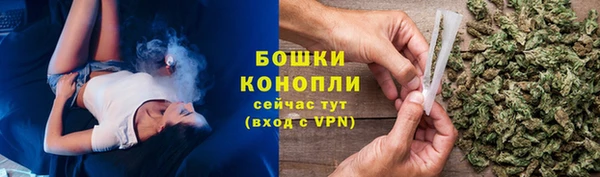 PSILOCYBIN Лагань