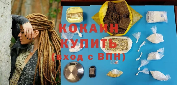 PSILOCYBIN Лагань
