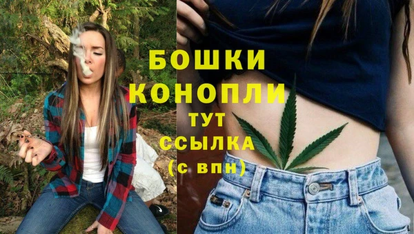 скорость Ладушкин
