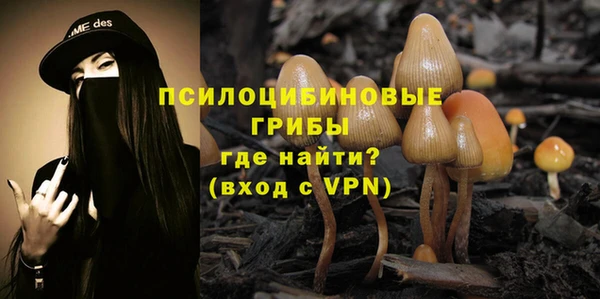 PSILOCYBIN Лагань