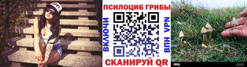 Купить закладки  Новая Ладога  Галлюциногенные грибы ЛСД 